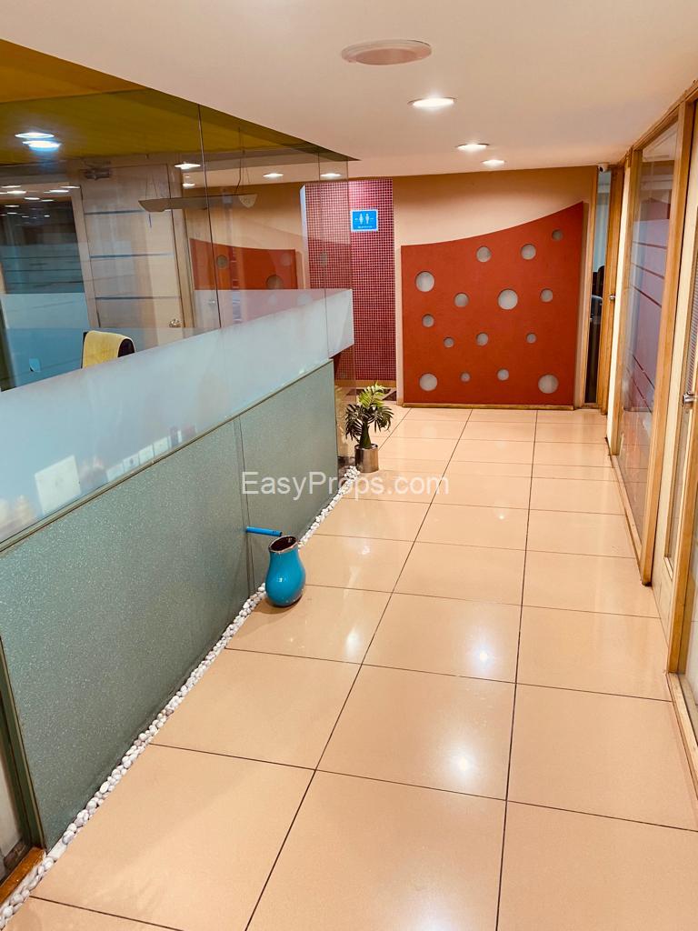 WhatsApp Image 2024-02-06 at 1220240207110354312.jpeg